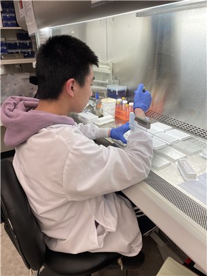 Lance Xu works in the lab at the Biotech Center